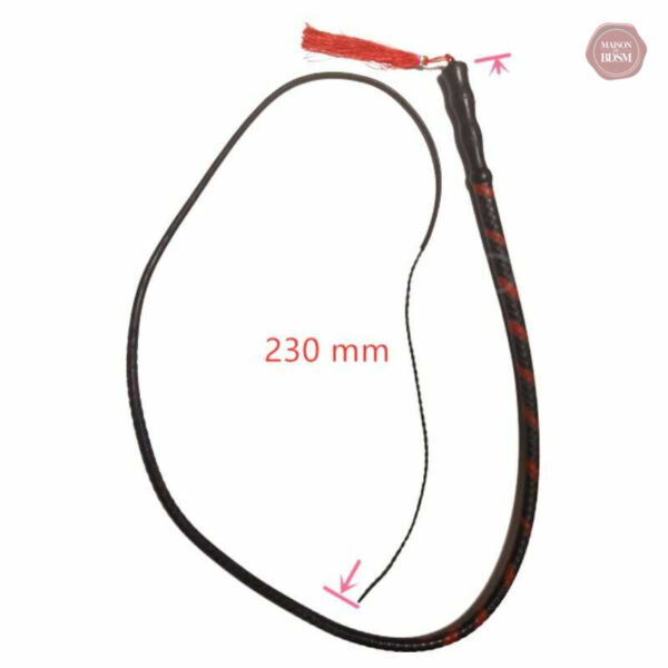 Fouet de jeu érotique pour couples explorant le BDSM