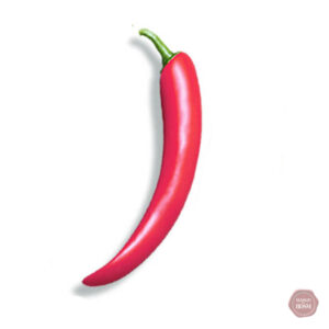 Dildo vibrant à thème végétal pour des sensations nouvelles