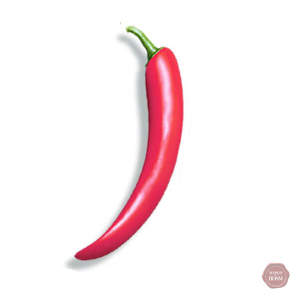 Dildo vibrant à thème végétal pour des sensations nouvelles