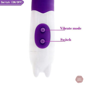 Plug anal vibrant avec 10 modes de stimulation
