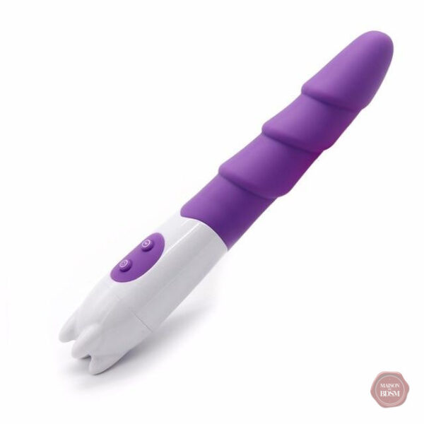 Jouet anal polyvalent avec vibrations réglables