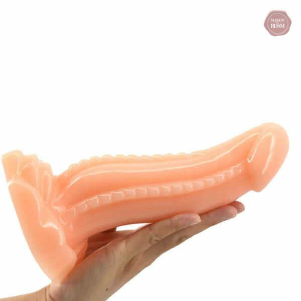 Dildo en forme de dragon, idéal pour des sensations intenses