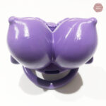 Accessoire pour contrôle et domination masculine