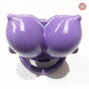 Accessoire pour contrôle et domination masculine