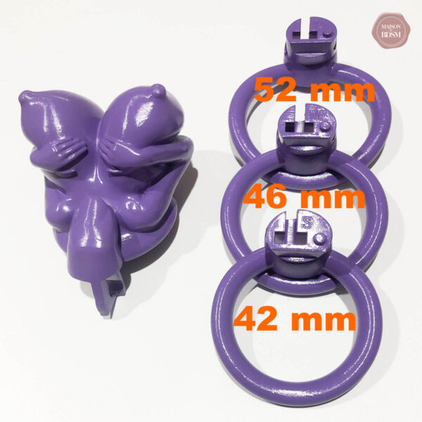Équipement de chasteté, stimulation et restriction