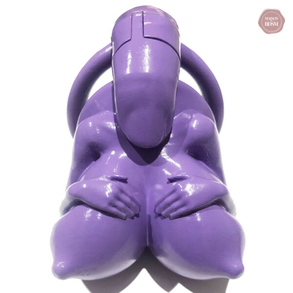 Système de chasteté pour une expérience intense
