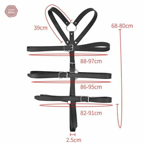 Accessoire de jeu érotique pour couples audacieux