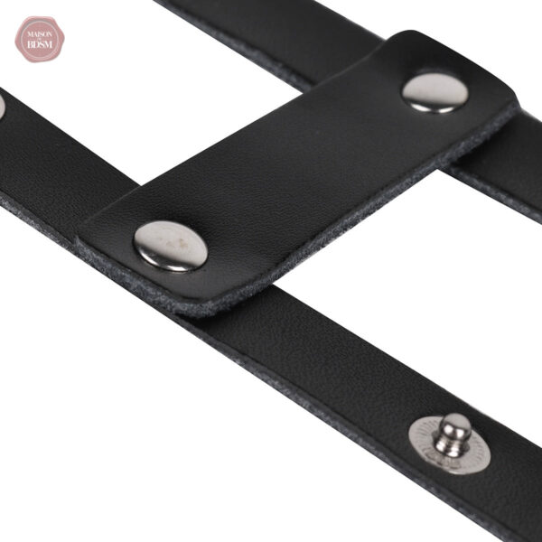 Harnais ajustable pour pénis et testicules en cuir