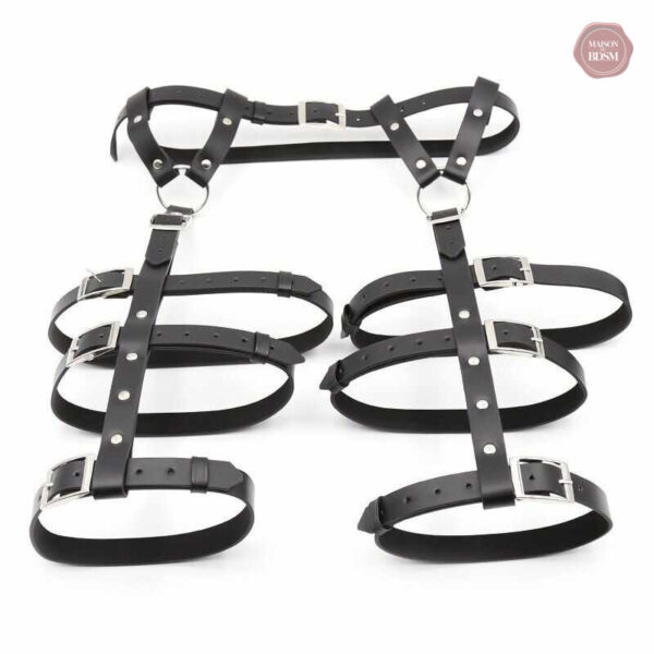 Harnais ajustable pour jeux de domination