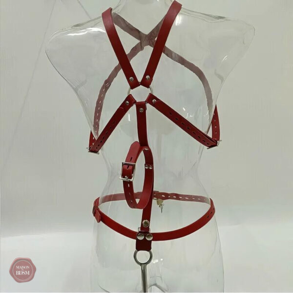 harnais-et-crochet-anal-1 Harnais et crochet anal pour un plaisir anal sécurisé