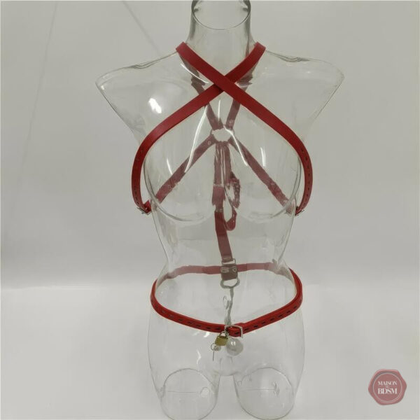 Accessoire de jeu anal pour les amateurs de sensations fortes