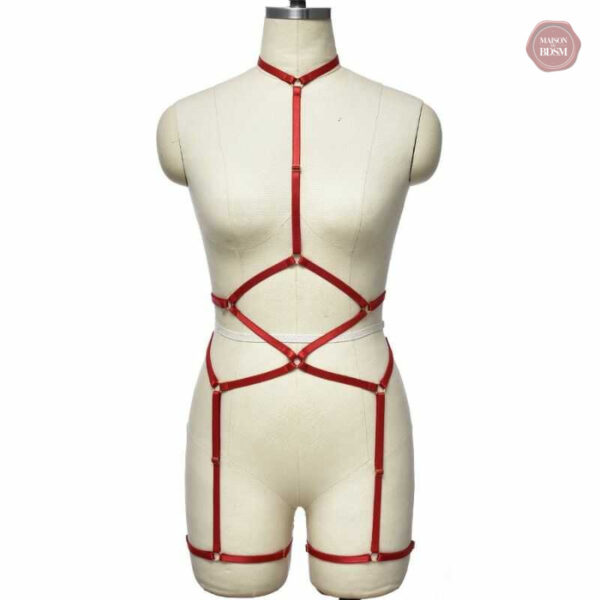 Harnais ajustable alliant confort et style