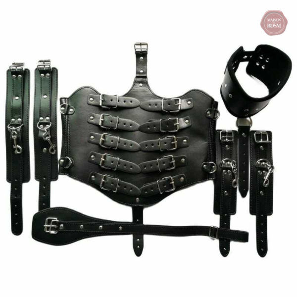 Harnais ajustable pour une expérience confortable