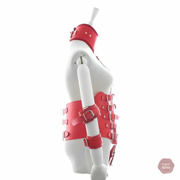 Harnais multifonctionnel pour couples audacieux