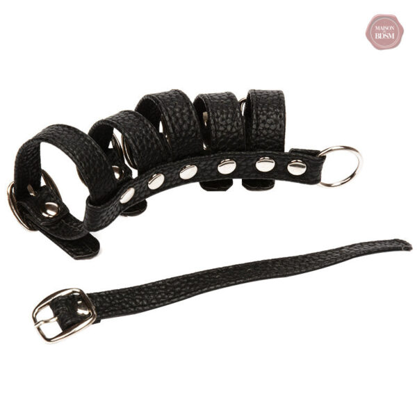 Accessoire de plaisir, harnais de pénis et testicules