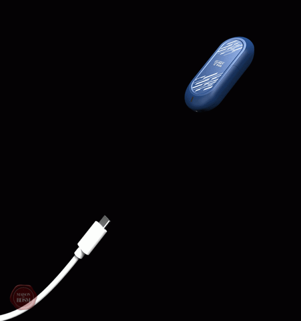 Boîte à clés intelligente pour dispositifs de chasteté