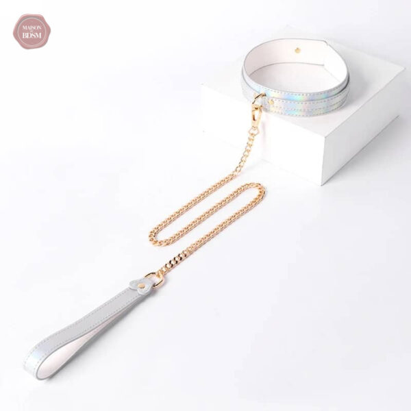 Kit de bondage BDSM avec éléments scintillants