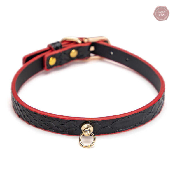 Kit de jeu érotique Caiman pour tous niveaux