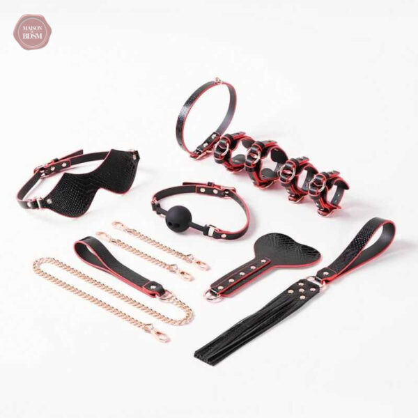 Accessoires variés pour jeux BDSM intenses