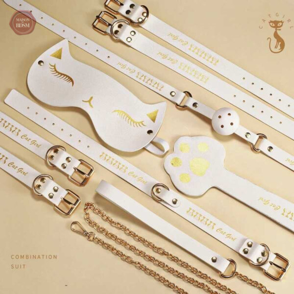 Accessoires de jeu érotique sur le thème félin