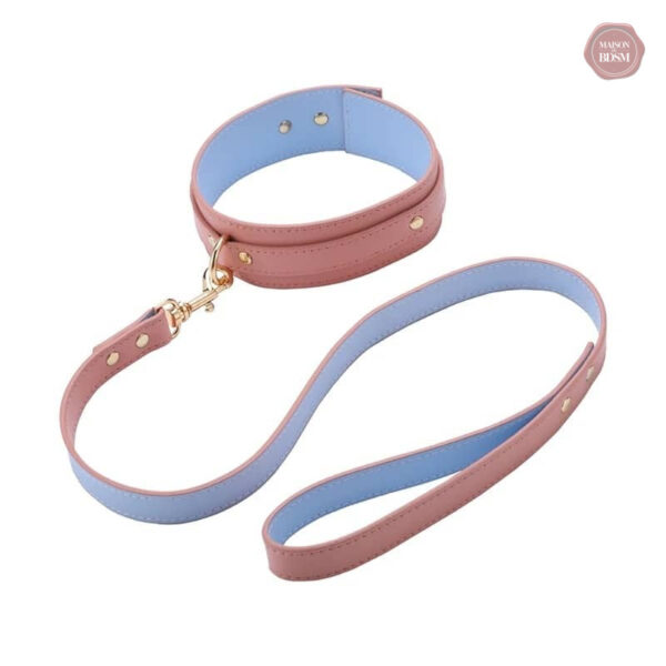 Accessoires de plaisir