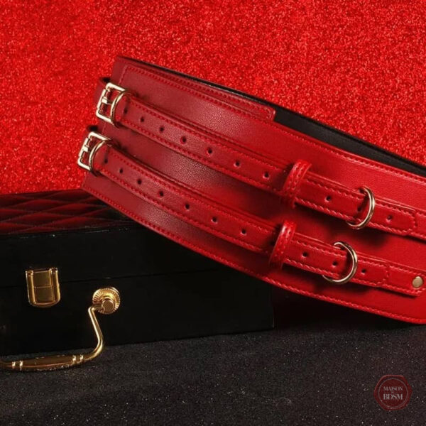 Kit de plaisir BDSM pour explorer vos fantasmes