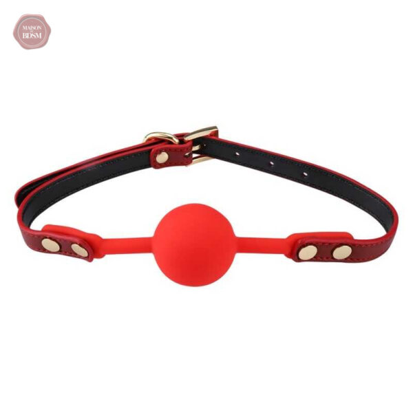 Kit BDSM avec éléments pour maîtriser et soumettre