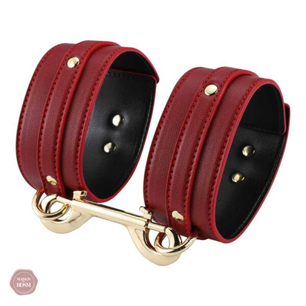 Accessoires de contrôle pour jeux de rôle BDSM