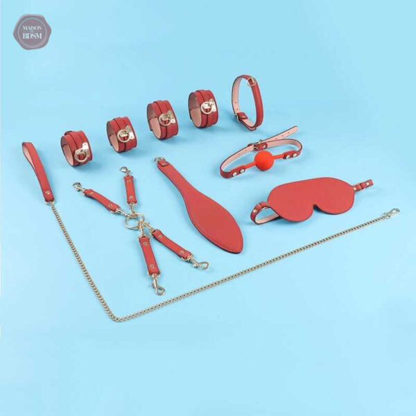 Ensemble d'accessoires pour les aventuriers du BDSM