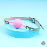 Accessoires variés pour le plaisir BDSM