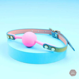 Accessoires variés pour le plaisir BDSM