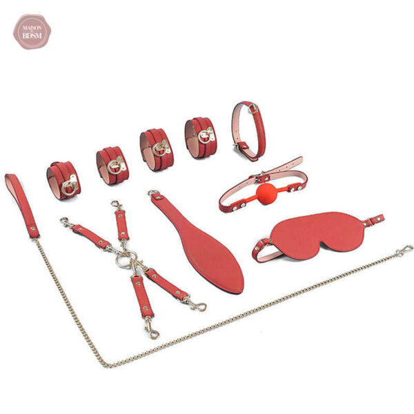 Kit BDSM Premium pour des expériences intenses - vue 6