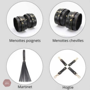Ensemble d'outils BDSM pour une expérience immersive