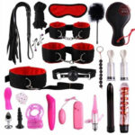 Accessoires variés pour explorations BDSM, 22 pièces incluses