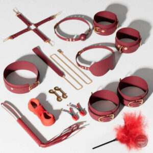 Kit BDSM Ultime pour des expériences intenses