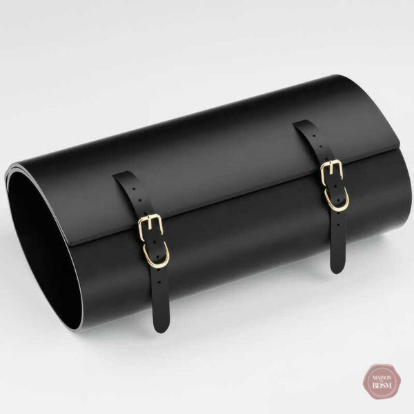 Kit polyvalent pour des jeux de rôle BDSM excitants