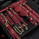 Accessoires variés pour le jeu BDSM