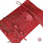 Voyagez avec style grâce à ce kit BDSM complet