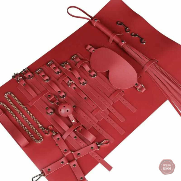 Voyagez avec style grâce à ce kit BDSM complet