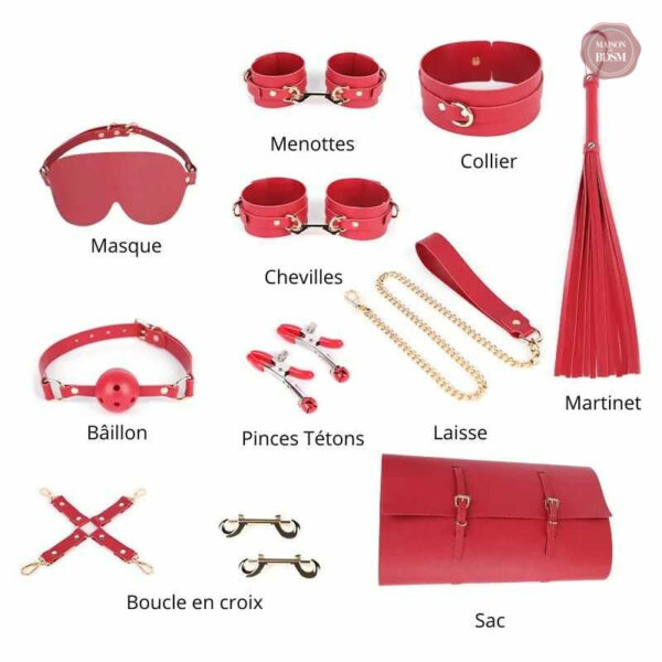 Kit de plaisir BDSM idéal pour les escapades romantiques