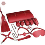 Kit BDSM portable pour une expérience inoubliable en déplacement
