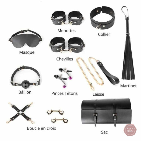 Kit de voyage BDSM avec divers éléments de plaisir