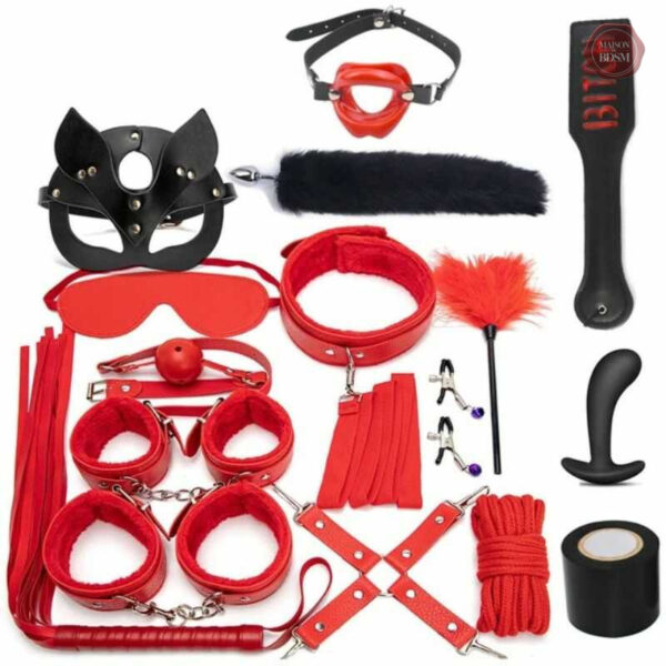 Accessoires variés pour expériences de bondage