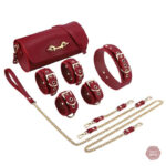 Kit de jeu érotique avec style
