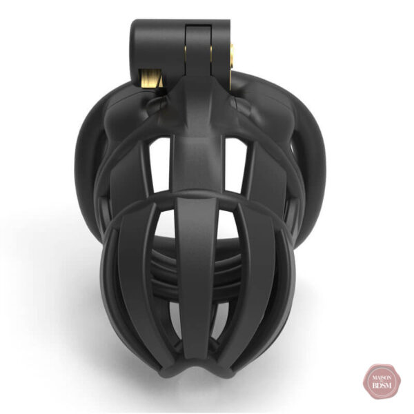 Modèle 3D de cage de chasteté pour adultes