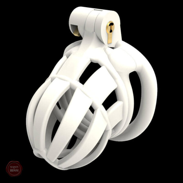 Accessoire de domination : cage Stegosaurus 3D