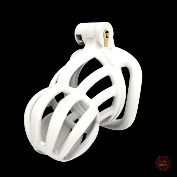 Cage de chasteté pour jeux de domination, style Stegosaurus