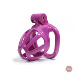 Kit de chasteté Cobra ajustable de 4,5 à 10,5 cm
