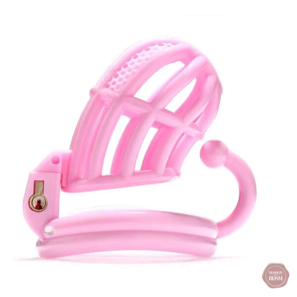 Cage de chasteté Mini Ruche 2.0 pour un port quotidien