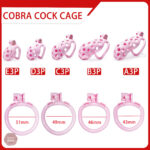 Cage de chasteté ajustable de 4,5 à 10,5 cm